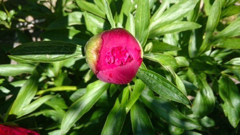 DSC_1405.jpg