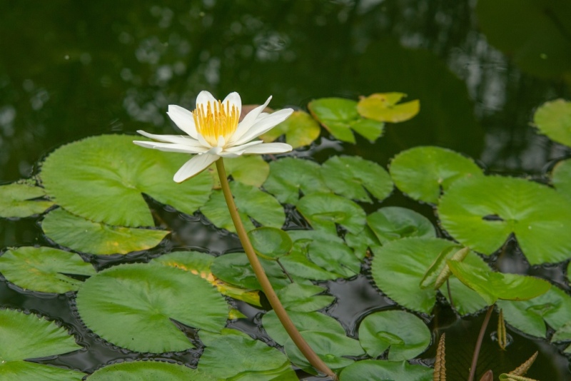 _W2N9025.jpg