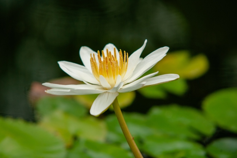 _W2N9028.jpg