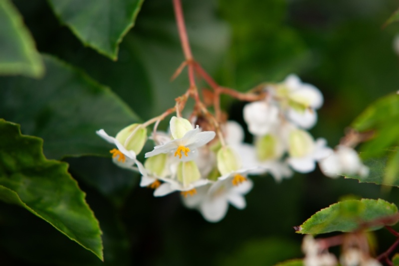 _W2N9041.jpg