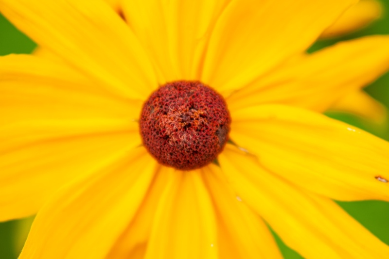 _W2N9155.jpg