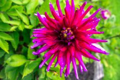SAM_2384-Edit.jpg