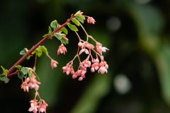 _W2N9073.jpg