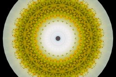 photo-art-kalejdoscope-by-andreas-h-lind-SAM_2405-v2.jpg