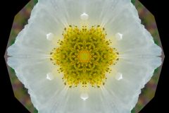 photo-art-kalejdoscope-by-andreas-h-lind-SAM_2405-v3.jpg