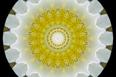 photo-art-kalejdoscope-by-andreas-h-lind-SAM_2405-v4.jpg