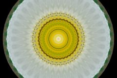 photo-art-kalejdoscope-by-andreas-h-lind-SAM_2405-v5.jpg
