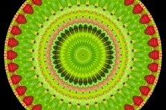 photo-art-kalejdoscope-by-andreas-h-lind-SAM_2410-v1.jpg