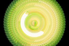 photo-art-kalejdoscope-by-andreas-h-lind-SAM_2410-v2.jpg