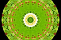 photo-art-kalejdoscope-by-andreas-h-lind-SAM_2410-v4.jpg
