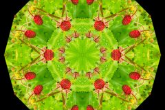 photo-art-kalejdoscope-by-andreas-h-lind-SAM_2410-v5.jpg
