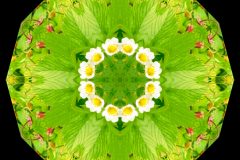 photo-art-kalejdoscope-by-andreas-h-lind-SAM_2410-v6.jpg