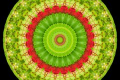 photo-art-kalejdoscope-by-andreas-h-lind-SAM_2410-v7.jpg