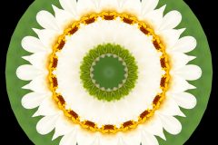 photo-art-kalejdoscope-by-andreas-h-lind-W2N9021-v1.jpg