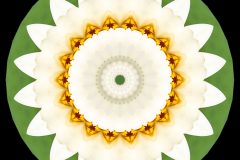 photo-art-kalejdoscope-by-andreas-h-lind-W2N9021-v3.jpg