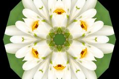 photo-art-kalejdoscope-by-andreas-h-lind-W2N9021-v4.jpg