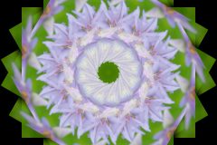 photo-art-kalejdoscope-by-andreas-h-lind-_W2N9030-v2.jpg