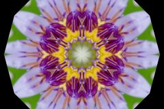 photo-art-kalejdoscope-by-andreas-h-lind-_W2N9030-v3.jpg