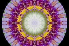 photo-art-kalejdoscope-by-andreas-h-lind-_W2N9030-v4.jpg