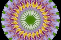 photo-art-kalejdoscope-by-andreas-h-lind-_W2N9030-v5.jpg