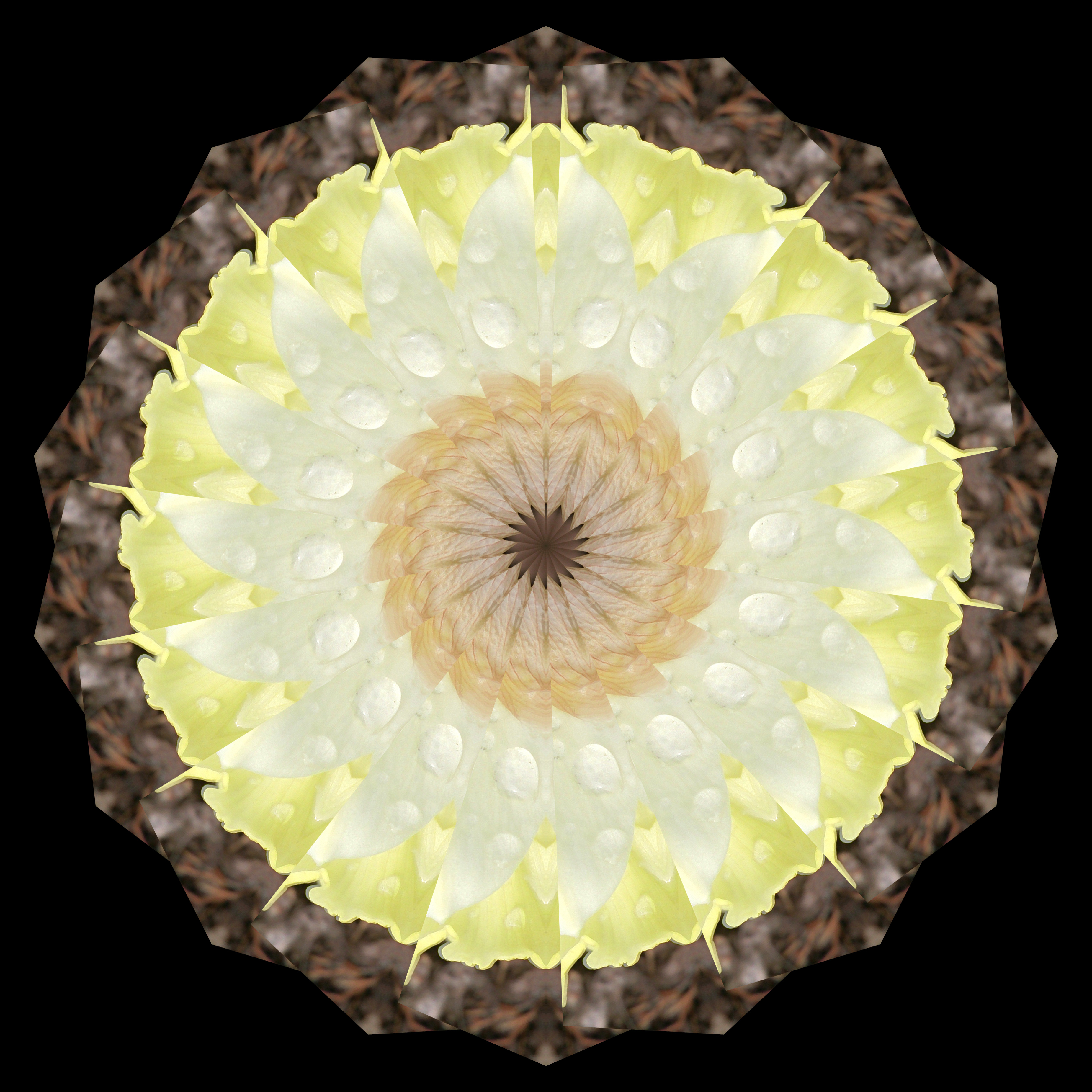 Fotograf_Andreas_H_Lind_DSC_2262-Kalejdo18-yellow-3.jpg