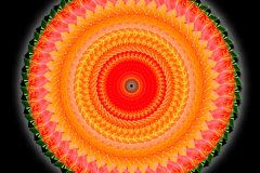 DSC_2266-Kalejdo-ColorBurn-v3.jpg