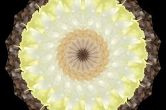 Fotograf_Andreas_H_Lind_DSC_2262-Kalejdo18-yellow-3.jpg