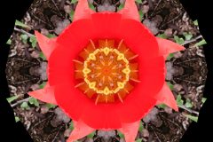 Fotograf_Andreas_H_Lind_DSC_2266-Kalejdo8-ColorBurn-v1.jpg