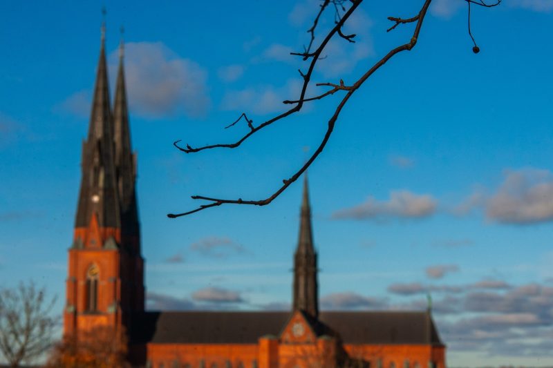 Photo-Uppsala-The-Castle-by-Andreas-H-Lind-RW2N0820