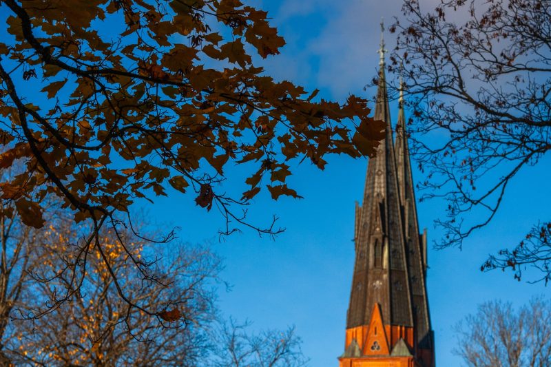 Photo-Uppsala-The-Castle-by-Andreas-H-Lind-RW2N0873