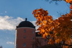 Photo-Uppsala-The-Castle-by-Andreas-H-Lind-RW2N0897