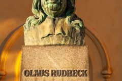 Photo-Uppsala-The-Castle-by-Andreas-H-Lind-RW2N0922