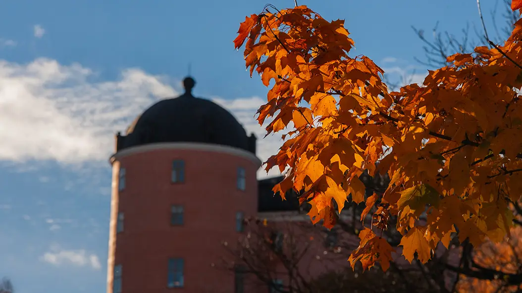 Photo from Uppsala Castle: Uppsala Cathedral.